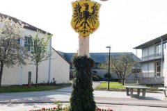 20210503-Maibaum-0241