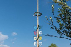 20210503-Maibaum-0245