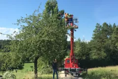 00060-Obstbauschnitt-1