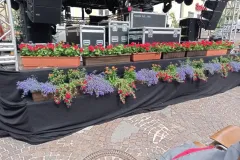 1_00075-PHOTO-2024-06-13-14-41-57b