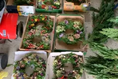 1_00092-PHOTO-2024-10-03-10-44-55