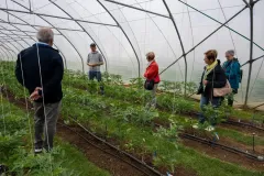 20250517-OGV-Ausflug-9756