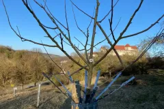 IMG-20260303-WA0000