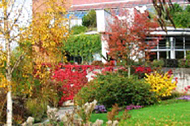 Bunter Herbst im Garten