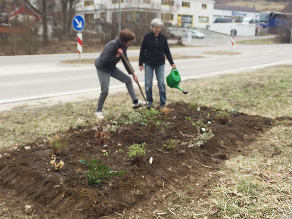 Blühinsel in der Wemdinger Straße