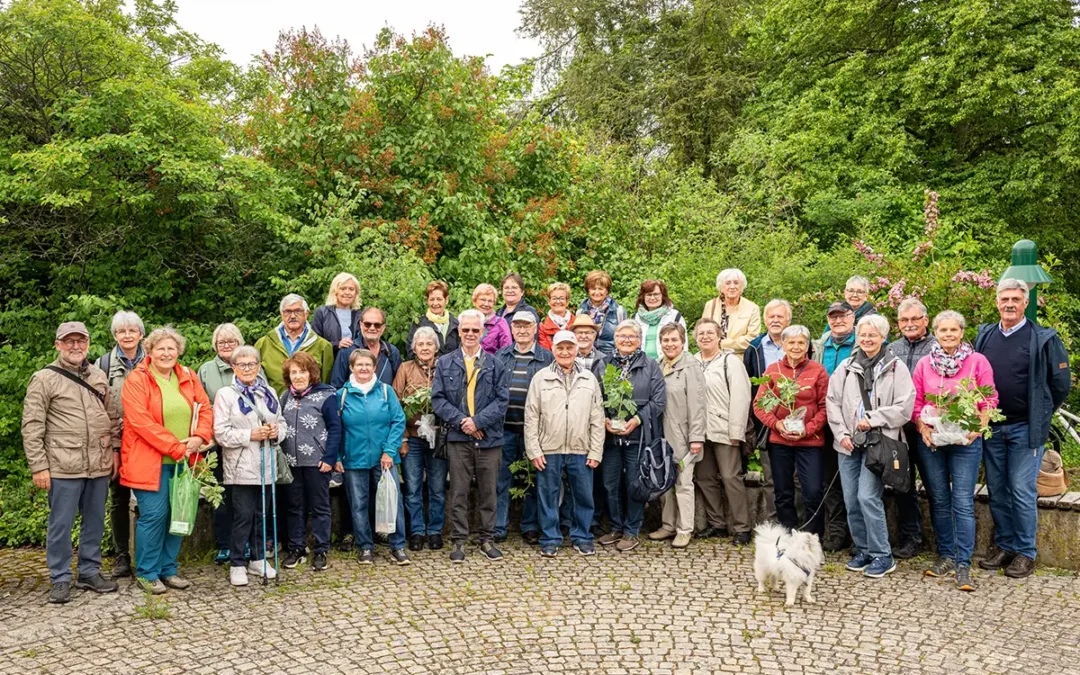 Ein ereignisreicher Tag in einer historischen Stadt