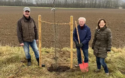 Altbürgermeister spendet und pflanzt Apfelbaum