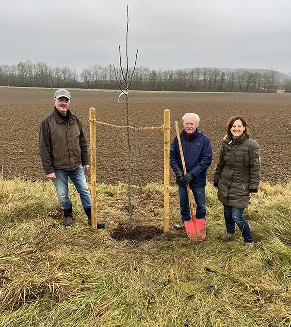 Altbürgermeister spendet und pflanzt Apfelbaum