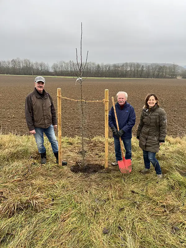 Baumspende Fischer